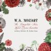 Download track Sonata In D Major, K. 381: III. Allegro Molto