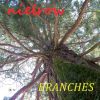 Download track L'arbre De Vie