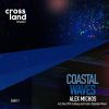 Download track Coastal Waves (Nec SFS & LeDeep Remix)