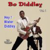 Download track Bo Didley