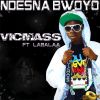 Download track Ndesna Bwoyo (Instrumental)