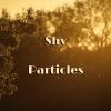 Download track Particles (Original Mix)