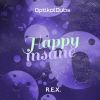 Download track Happy Insane