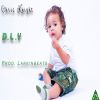 Download track D. L. Y