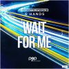 Download track Wait For Me (Extended Mix)