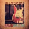 Download track I Just Want To Make Love To You (Live)