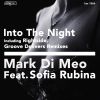 Download track Into The Night