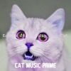 Download track Spirited Ambience For Cute Cats