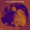 Download track Serene Backdrops For Doggy Mental Health