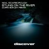 Download track Stung On The River (Corin Bayley Remix)