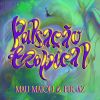 Download track Pulsação Tropical (Gabi Fischer Remix)