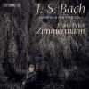 Download track 08. Bach Violin Partita No. 2 In D Minor, BWV 1004 IV. Gigue
