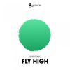 Download track Fly High