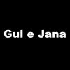 Download track Gul E Jana