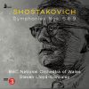 Download track Symphony No. 9 In E-Flat Major, Op. 70: V. Allegretto - Allegro