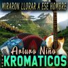 Download track Miraron Llorar A Un Hombre