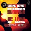 Download track Summer Of Love (Summer Of Love Mix)