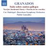 Download track 10. Suite Sobre Cantos Gallegos, H. 131 IV. Final. La Fiesta