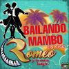 Download track Mambo No 8