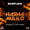 Download track Hasha Mulilo