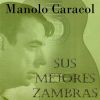 Download track Lamento De Córdoba (Fandangos)