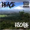 Download track Peace