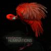 Download track Ruminations