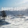 Download track Subdued Mountain Cabin Wind Ambience, Pt. 18