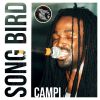 Download track Song Bird