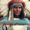 Download track Native American Flutes