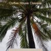 Download track Hypnotic Sound For Coffee Shops