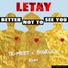 Download track Better Not To See You (Tr-Meet & BigRock Remix)