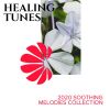 Download track Mystical Healers