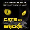 Download track Fight Like A Lion (Cats On Bricks Mix)