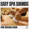 Download track Soothing Spa Music