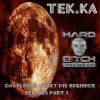 Download track Das Fleisch Weckt Die Begiere (Skaki Remix)