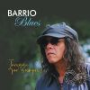 Download track Flamenco Blues