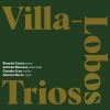 Download track Segundo Trio, Rio 1915: Final - Molto Allegro