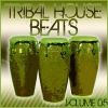 Download track Tribal Generation