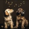 Download track Gentle Canine Harmony