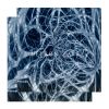 Download track Neuron Wave