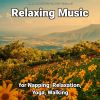 Download track Relaxing Music For Tinnitus