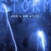 Download track Storm (Radio Mix)