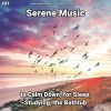 Download track Serene Music, Pt. 61