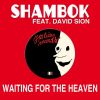 Download track Waiting For The Heaven (Remix 2014)