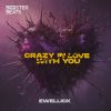 Download track Crazy In Love With You (Extended Mix)