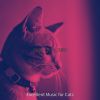 Download track Training Cats - Ambience