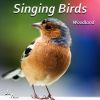 Download track Woodland Birds