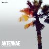 Download track Antennae