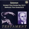 Download track 1. Schubert - Piano Sonata No. 13 In A - I Allegro Moderato